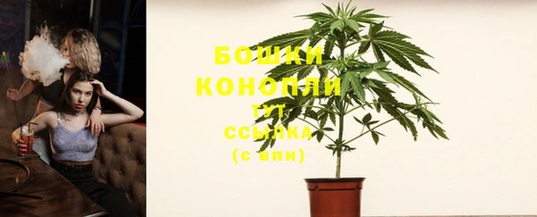 ПСИЛОЦИБИНОВЫЕ ГРИБЫ Верхнеуральск