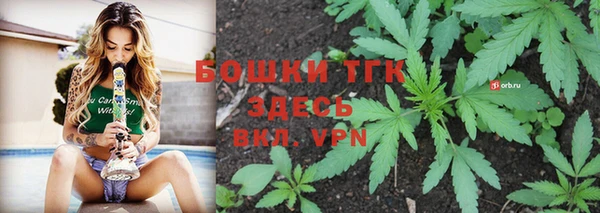 ПСИЛОЦИБИНОВЫЕ ГРИБЫ Верхнеуральск