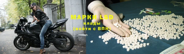 ПСИЛОЦИБИНОВЫЕ ГРИБЫ Верхнеуральск