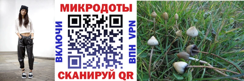 Псилоцибиновые грибы MAGIC MUSHROOMS  Каневская 